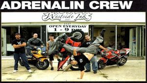 Adrenaline Crew 100% Illegal's poster