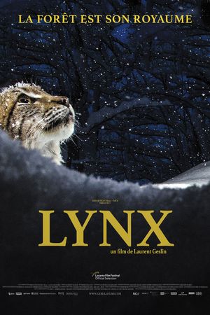 Lynx's poster