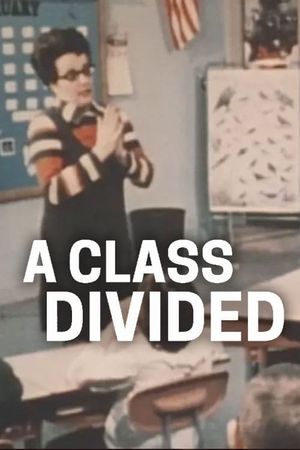 A Class Divided's poster