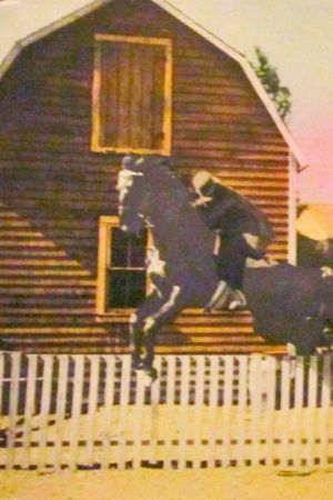 The Shamrock Handicap's poster