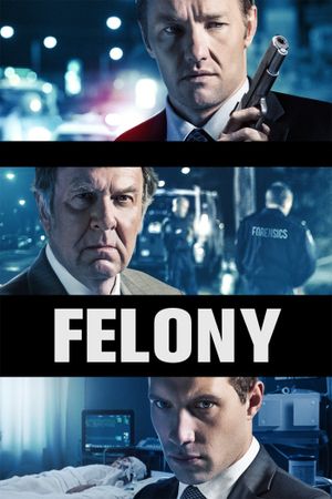 Felony's poster