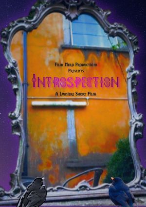Introspection's poster image