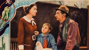 Love Birds's poster