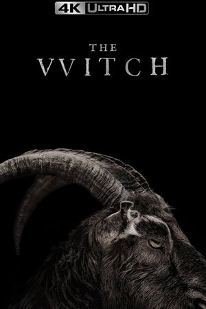 The Witch's poster