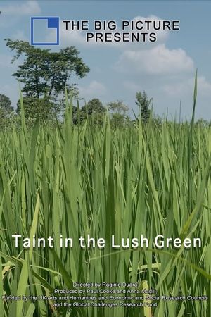 Taint in the Lush Green's poster