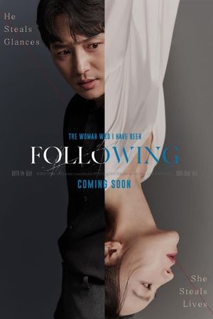 Following's poster