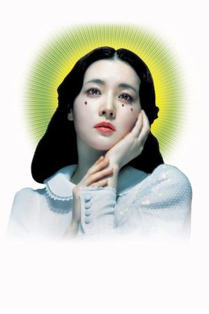 Lady Vengeance's poster