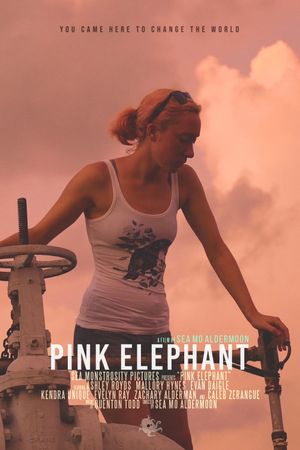 Pink Elephant's poster