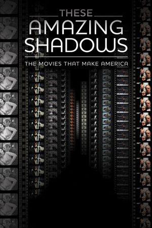 These Amazing Shadows's poster