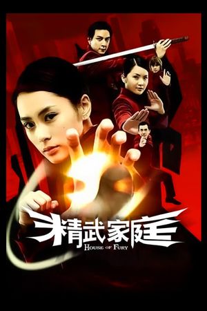 House of Fury's poster