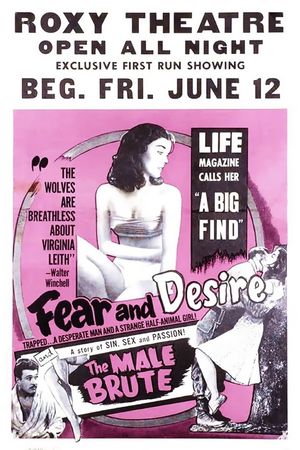 Fear and Desire's poster