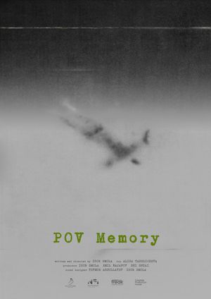 POV Memory's poster image