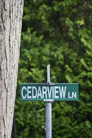 Cedarview's poster image