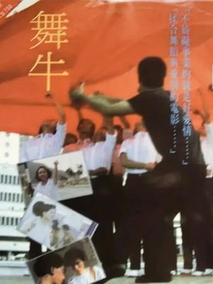 Dancing Bull's poster