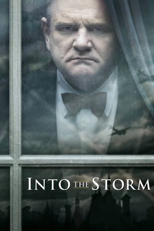 Into the Storm's poster image