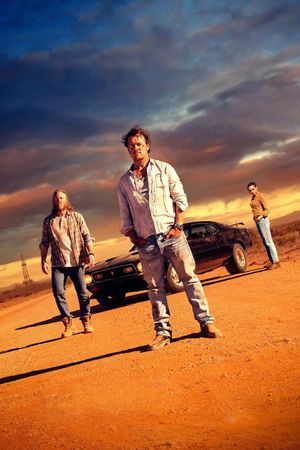 Locusts's poster