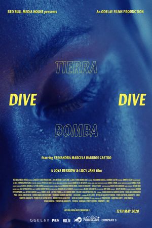 Dive Tierra Bomba Dive's poster image