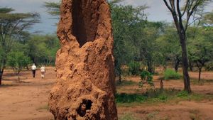 Termites: The Inner Sanctum's poster