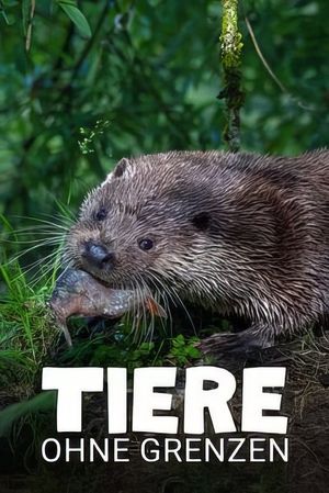 Tiere ohne Grenzen's poster