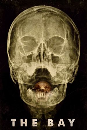 The Bay's poster