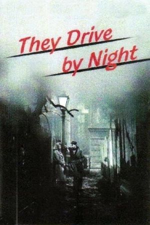 They Drive by Night's poster