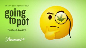 Going to Pot: The High and Low of It's poster