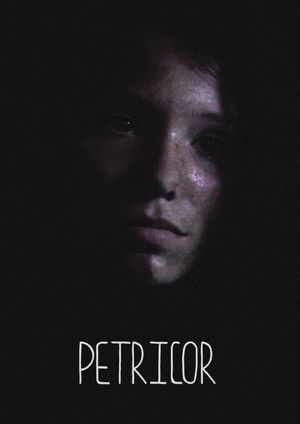 Petricor's poster