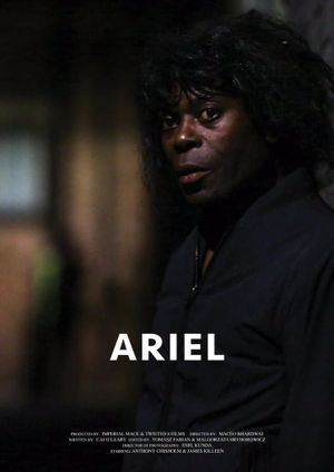 Ariel's poster