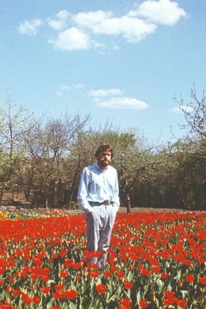 Tulip Field's poster