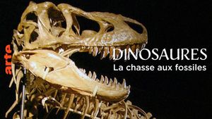 Dinosaurs, the hunt for fossils's poster