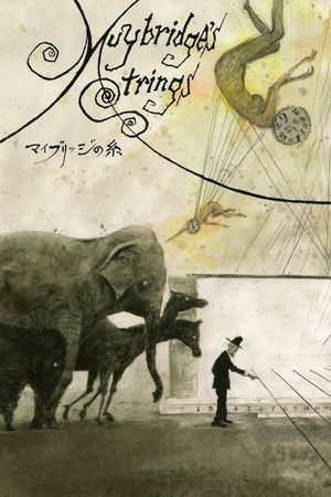 Muybridge's Strings's poster