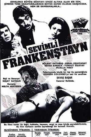 My Friend Frankenstein's poster image