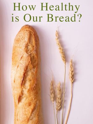 How Healthy Is Our Bread?'s poster