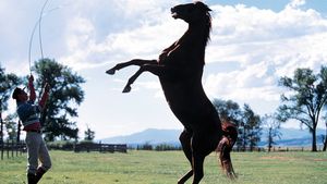 The Horse Whisperer's poster