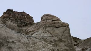 Planet of the Apes's poster