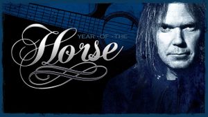 Year of the Horse's poster