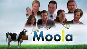 Moola's poster