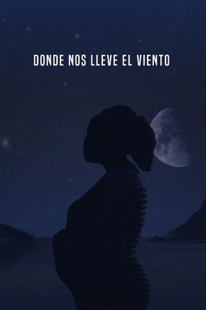 Donde nos lleve el viento's poster