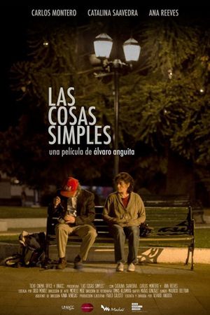 The Simple Things's poster