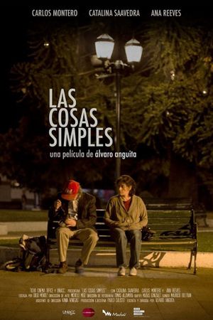 The Simple Things's poster image