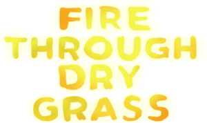 Fire Through Dry Grass's poster