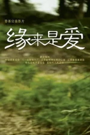 缘来是爱's poster image