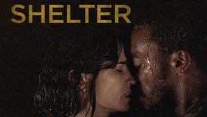 Shelter's poster