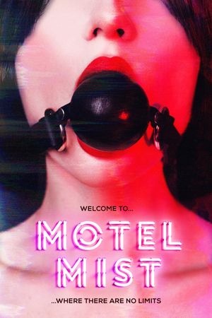 Motel Mist's poster