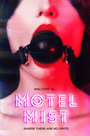 Motel Mist's poster image