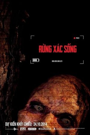 The Lost Tour: Vietnam's poster