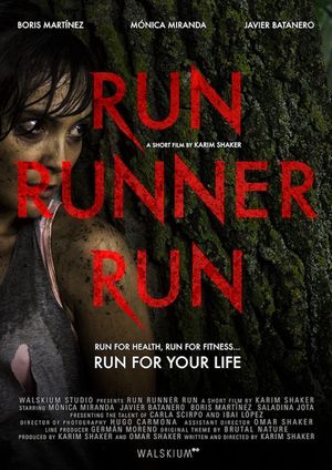 Run Runner Run's poster