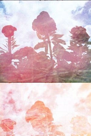 Sun Stone's poster