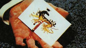 The Salamander's poster