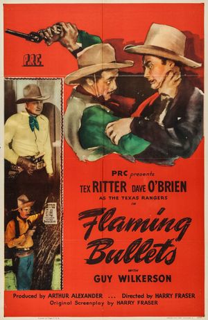 Flaming Bullets's poster
